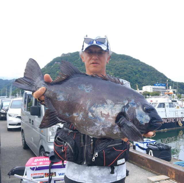 Izu Shimoda Fishing 神子元島 鵜渡根への渡船